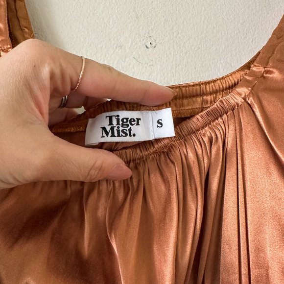 Tiger Mist Satin Cap Sleeve Bodycon Dress Size Small - Picture 6 of 9